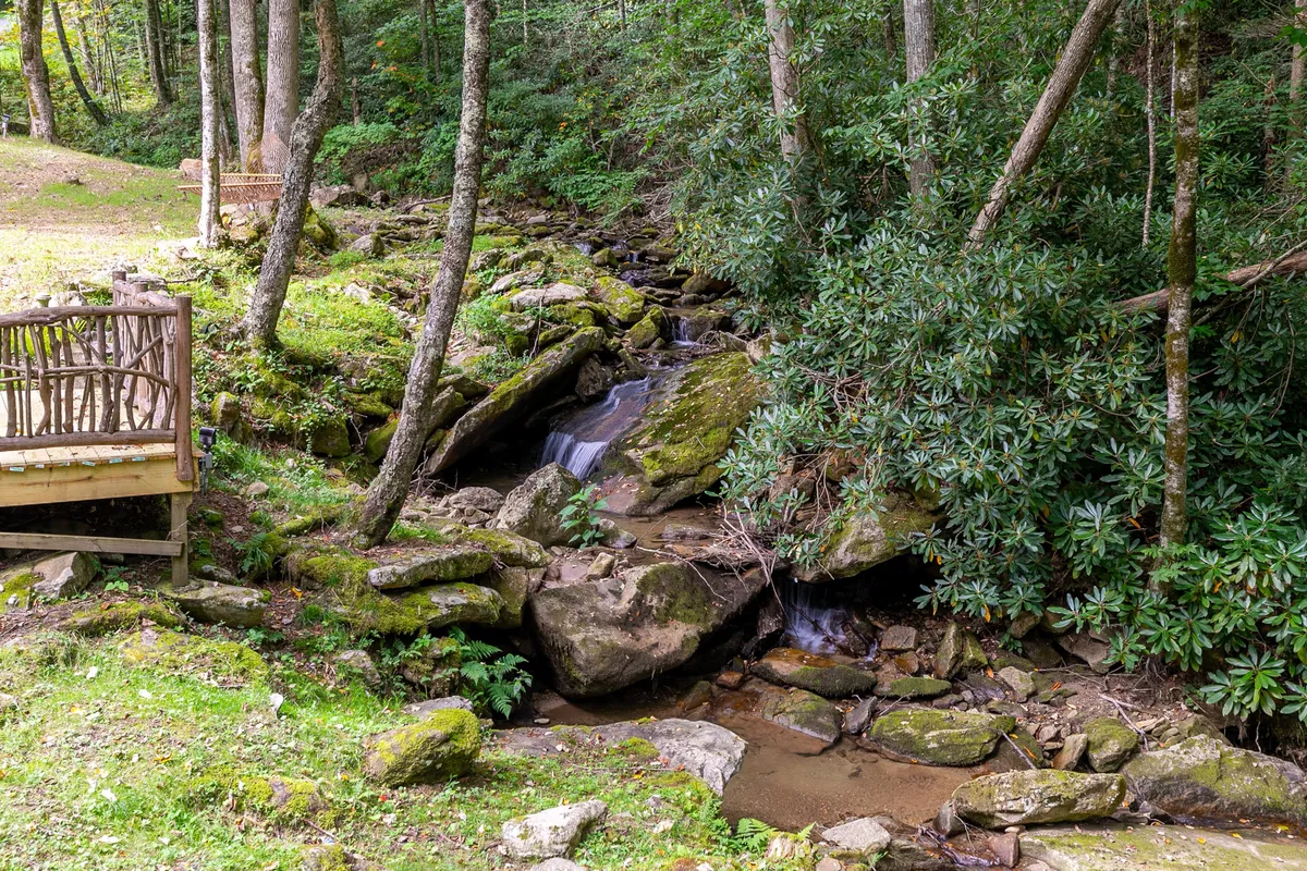 A peaceful stream meanders under a wooden bridge, framed by lush foliage and dappled sunlight. The natural beauty of the area is evident, offering a glimpse of the types of serene landscapes that await just beyond the lodge.